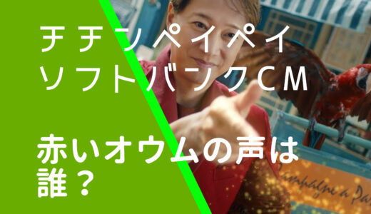 チチンペイペイソフトバンクCMの赤いオウムの声は誰？人気女優という噂を調査！