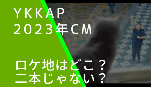 YKKAPの2023年CMの窓と猫のロケ地はどこ？日本か調査！