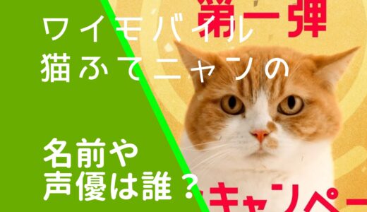 ワイモバイル猫の声優は誰？ふてニャンの名前を調査！